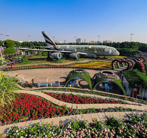 Dubai Miracle Garden, , medium